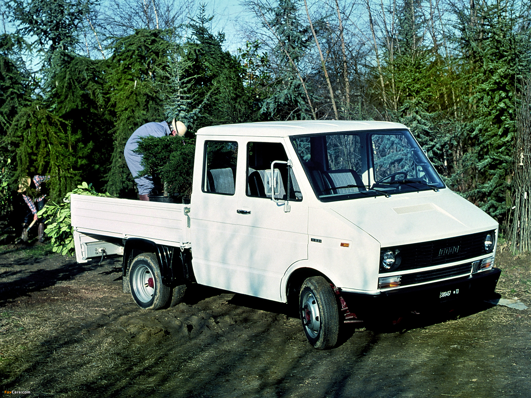 Photos of Fiat Daily Crew Cab 1978–83 (2048 x 1536)