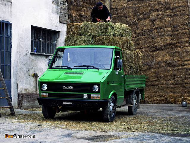 Fiat Daily Chassis Cab 1978–83 wallpapers (640 x 480)
