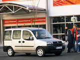 Images of Fiat Doblò Panorama (223) 2000–05