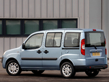 Photos of Fiat Doblò Panorama UK-spec (223) 2005–09