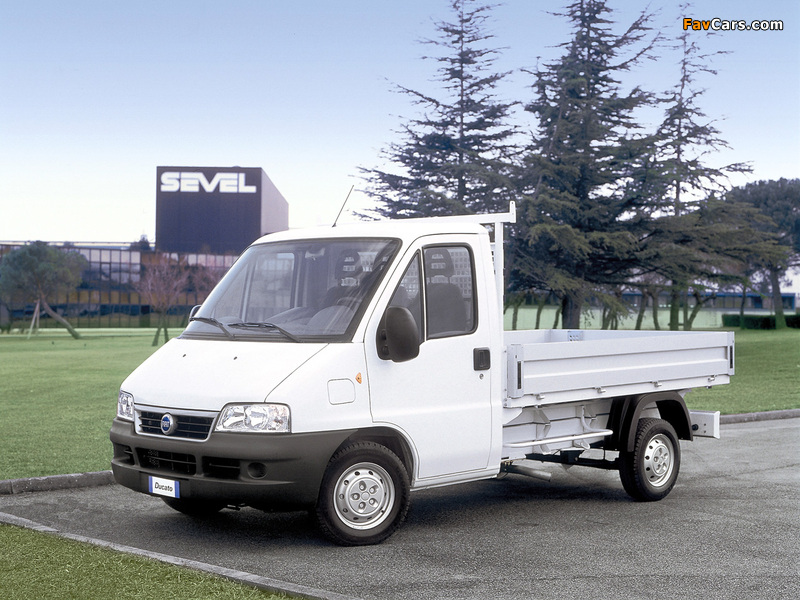 Fiat Ducato Pickup 2002–06 wallpapers (800 x 600)