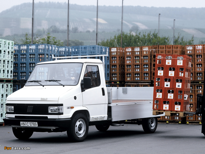 Pictures of Fiat Ducato Pickup 1989–94 (800 x 600)