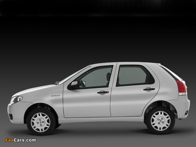 Fiat Palio Fire 5-door (178) 2007–10 images (640 x 480)