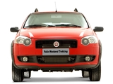 Images of Fiat Palio Weekend Trekking (178) 2008–12