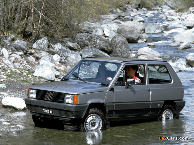 Fiat Panda 4x4 (153) 1983–86 images (640 x 480)
