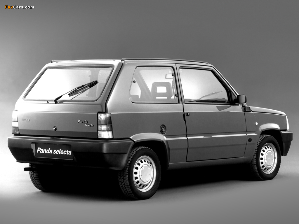 Fiat Panda (141) 1986–91 photos (1024 x 768)