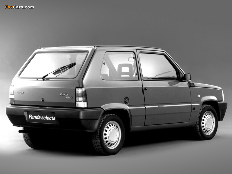 Fiat Panda (141) 1986–91 photos (800 x 600)