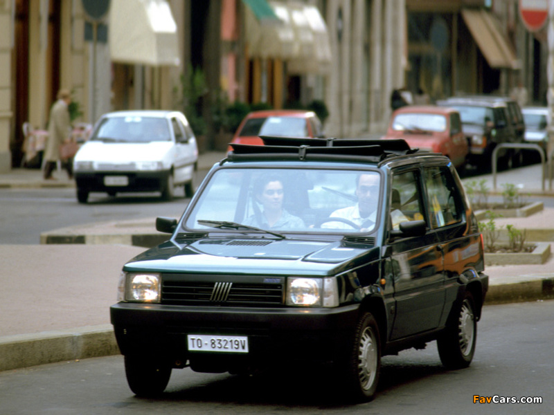 Fiat Panda Soft Top (141) 1991–2003 images (800 x 600)