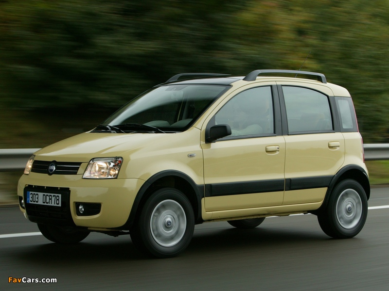 Fiat Panda 4x4 Climbing (169) 2004 images (800 x 600)