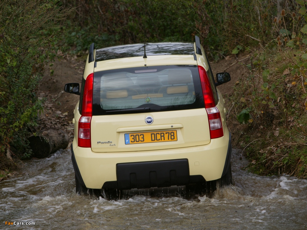 Fiat Panda 4x4 Climbing (169) 2004 images (1024 x 768)