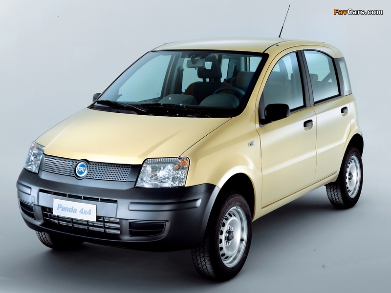 Fiat Panda 4x4 (169) 2004–09 photos (800 x 600)
