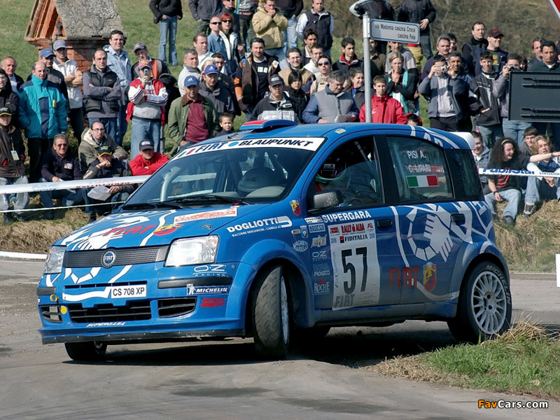 Fiat Panda Rally (169) 2004–07 pictures (800 x 600)