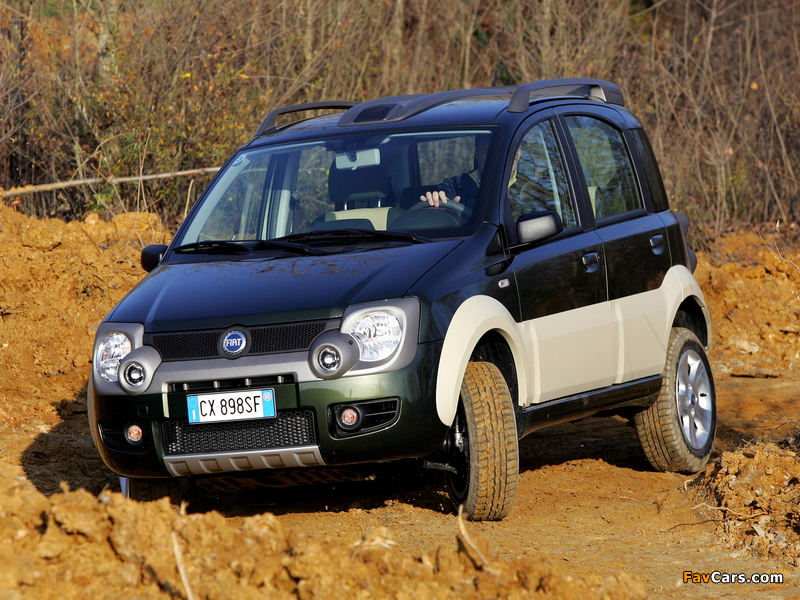 Fiat Panda 4x4 Cross (169) 2006–12 images (800 x 600)