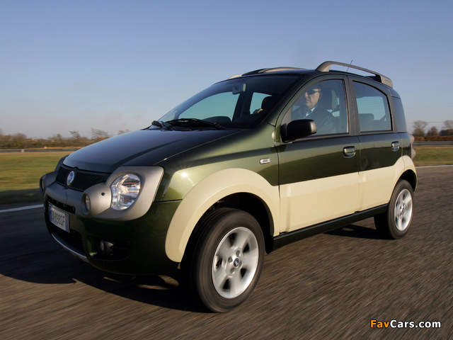 Fiat Panda 4x4 Cross (169) 2006–12 photos (640 x 480)
