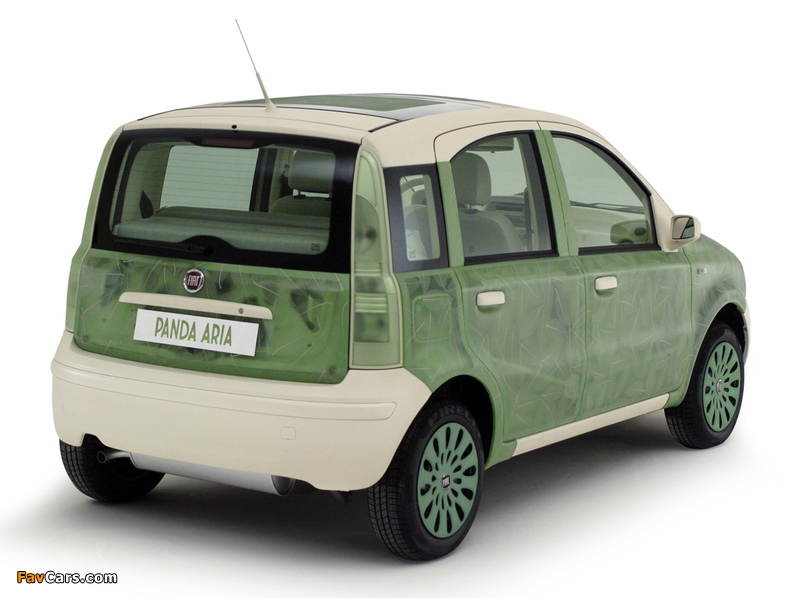 Fiat Panda Aria Concept (169) 2007 images (800 x 600)