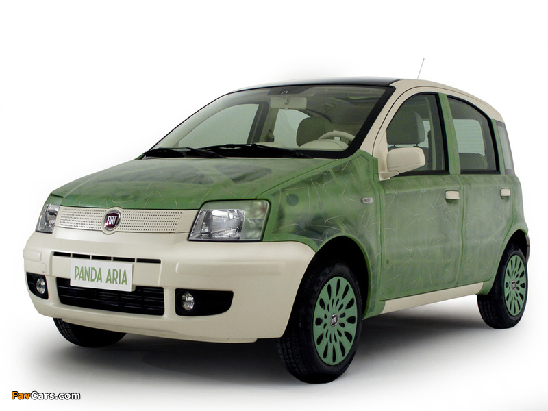 Fiat Panda Aria Concept (169) 2007 pictures (800 x 600)