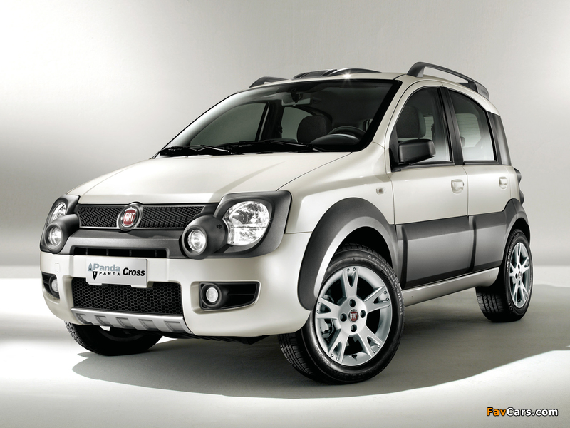 Fiat Panda Natural Power Cross (169) 2009–12 photos (800 x 600)