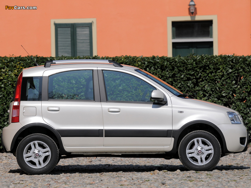 Fiat Panda 4x4 Climbing (169) 2009–12 wallpapers (800 x 600)