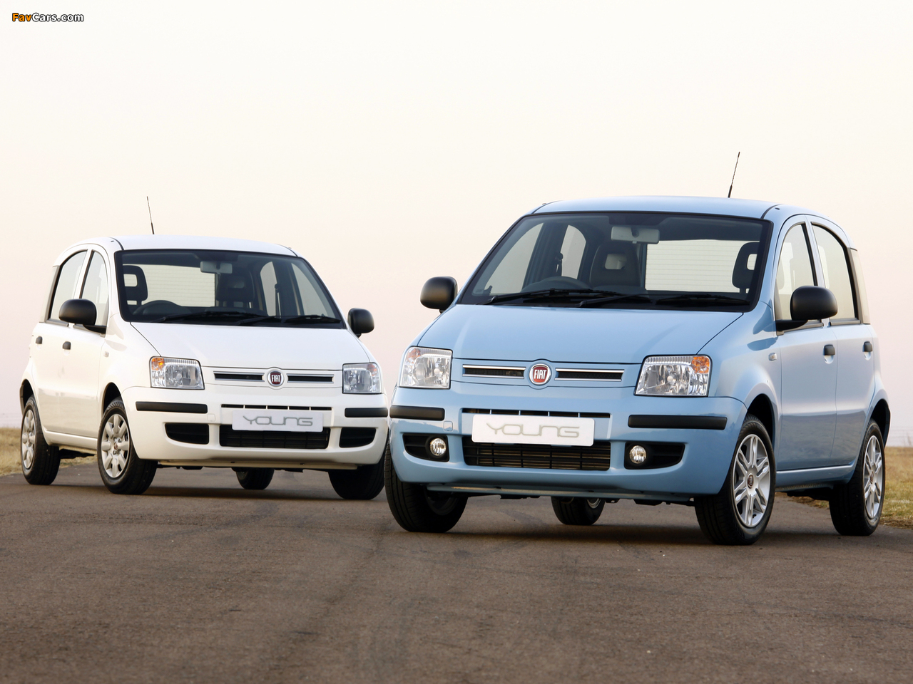 Fiat Panda Young (169) 2011–12 pictures (1280 x 960)
