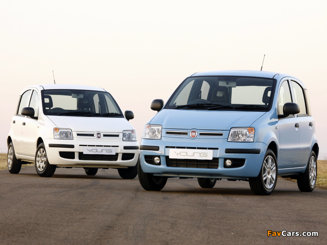 Fiat Panda Young (169) 2011–12 pictures (640 x 480)