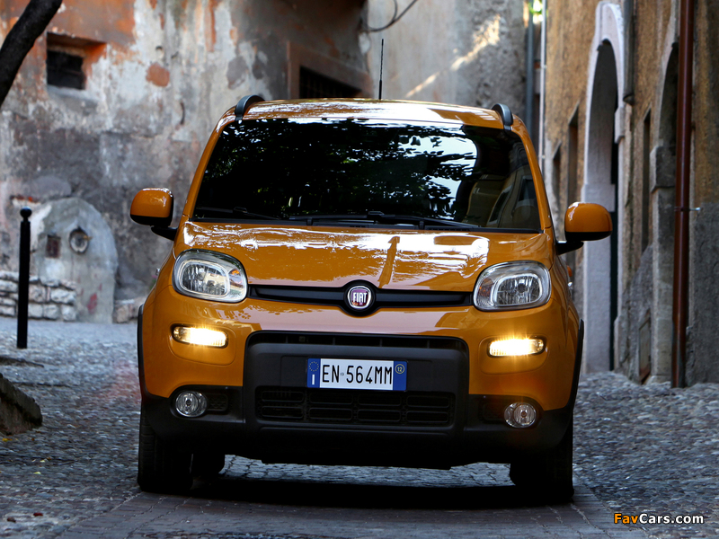 Fiat Panda Trekking (319) 2012 pictures (800 x 600)