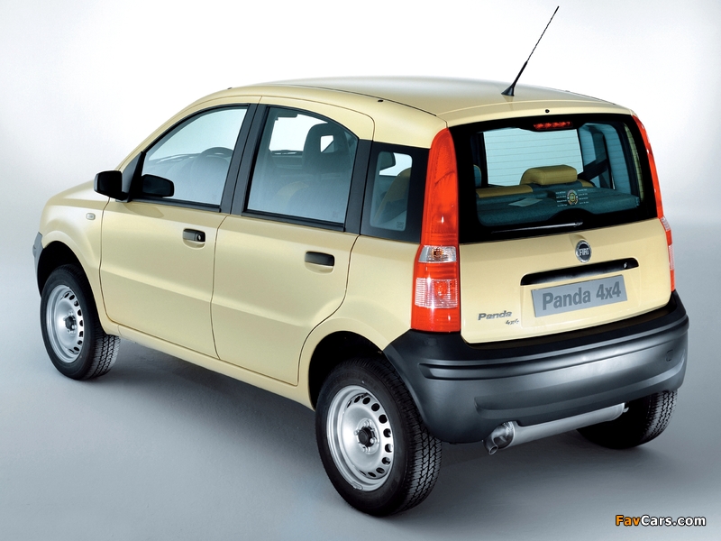 Images of Fiat Panda 4x4 (169) 2004–09 (800 x 600)