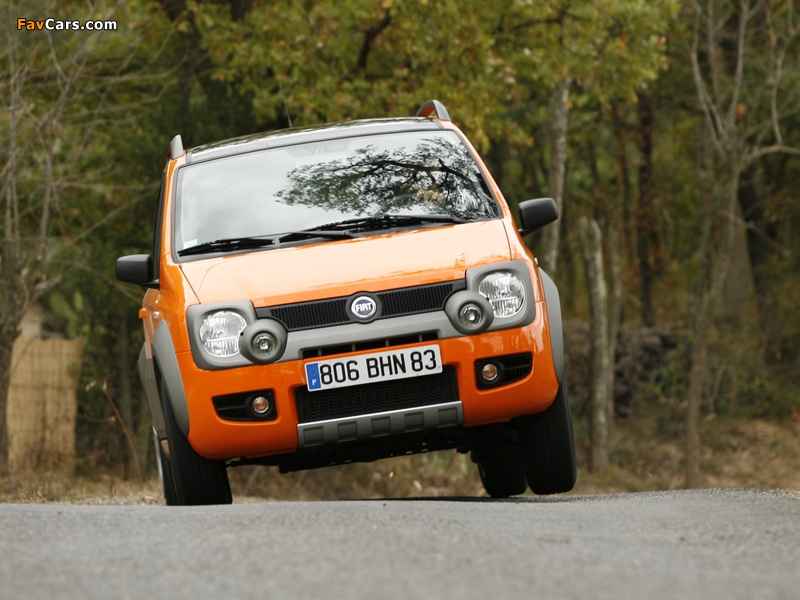 Images of Fiat Panda 4x4 Cross (169) 2006–12 (800 x 600)