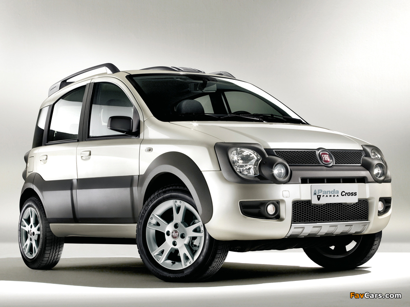 Images of Fiat Panda Natural Power Cross (169) 2009–12 (800 x 600)