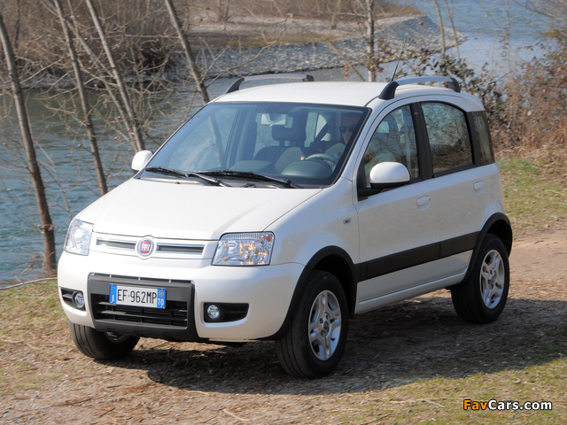 Images of Fiat Panda 4x4 Climbing (169) 2009–12 (640 x 480)