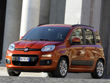 Images of Fiat Panda (319) 2012
