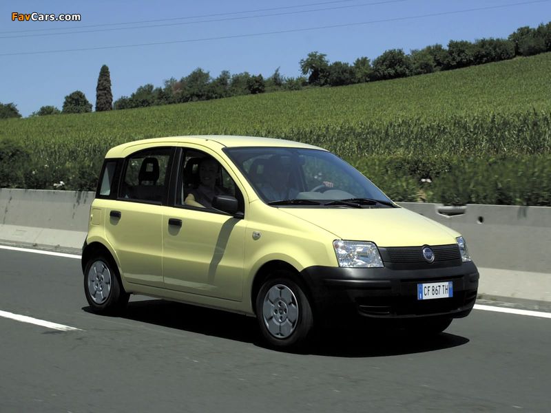 Photos of Fiat Panda Active (169) 2003–09 (800 x 600)