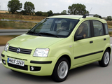 Photos of Fiat Panda (169) 2003–09