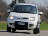 Photos of Fiat Panda 4x4 Climbing (169) 2009–12