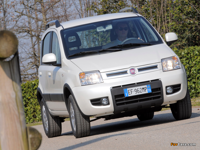 Photos of Fiat Panda 4x4 Climbing (169) 2009–12 (800 x 600)