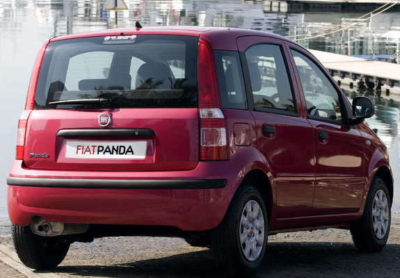 Photos of Fiat Panda ZA-spec (169) 2010–12