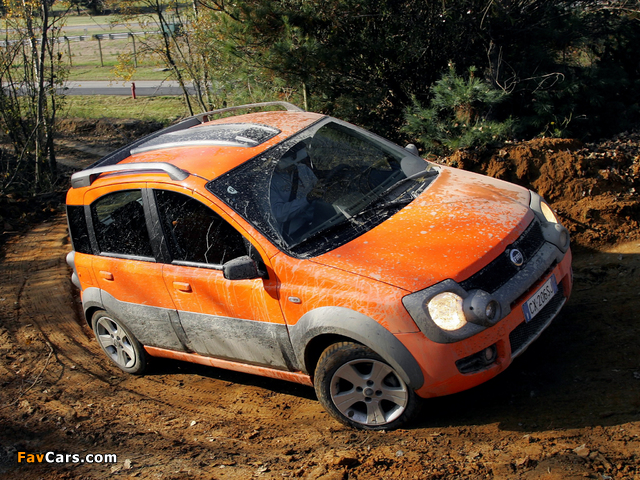 Pictures of Fiat Panda 4x4 Cross (169) 2006–12 (640 x 480)