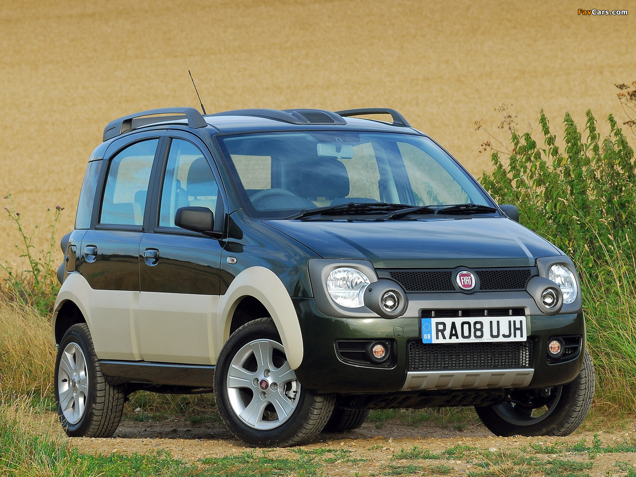 Pictures of Fiat Panda 4x4 Cross UK-spec (169) 2008–10 (1280 x 960)