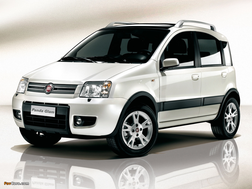 Pictures of Fiat Panda 4x4 Glam (169) 2008 (1024 x 768)