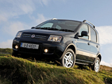 Pictures of Fiat Panda 4x4 Climbing UK-spec (169) 2009–10