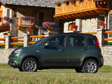 Pictures of Fiat Panda 4x4 (319) 2012