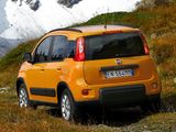 Pictures of Fiat Panda Trekking (319) 2012