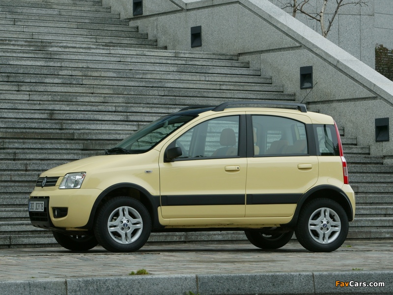 Fiat Panda 4x4 Climbing (169) 2004 wallpapers (800 x 600)