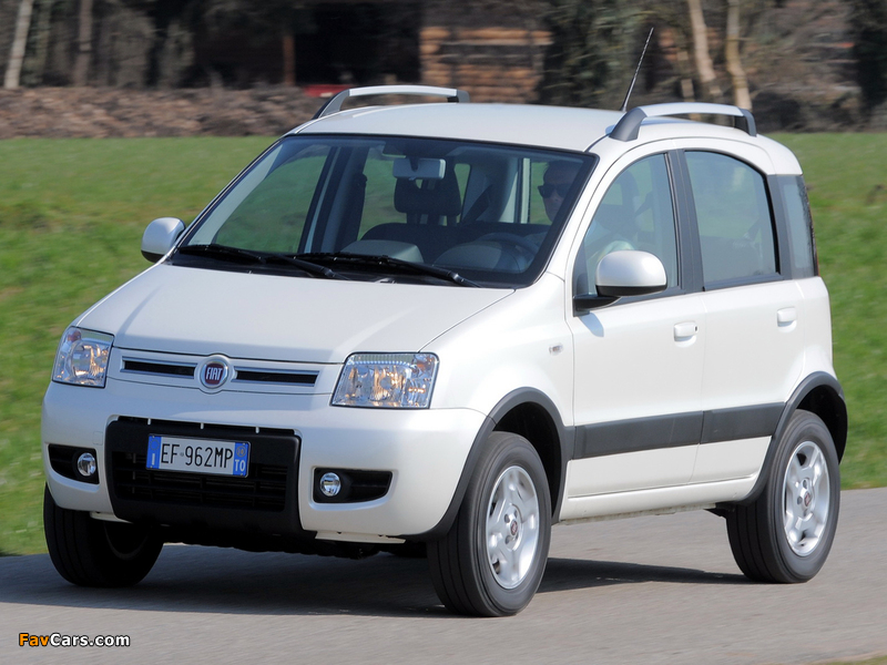 Fiat Panda 4x4 Climbing (169) 2009–12 wallpapers (800 x 600)