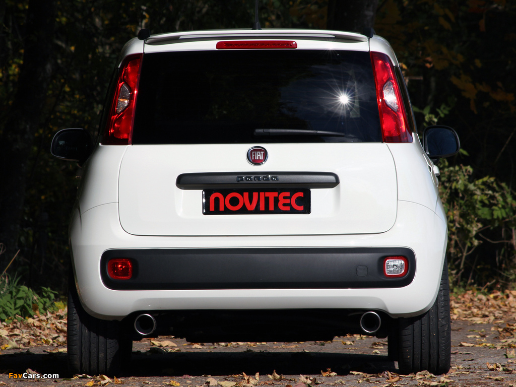 Novitec Fiat Panda (319) 2012 wallpapers (1024 x 768)