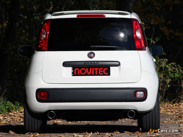 Novitec Fiat Panda (319) 2012 wallpapers (640 x 480)