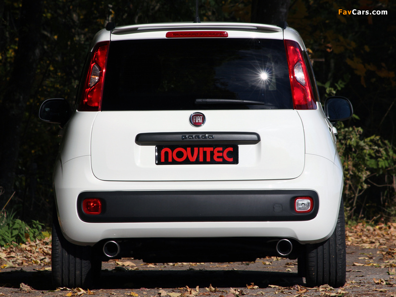 Novitec Fiat Panda (319) 2012 wallpapers (800 x 600)