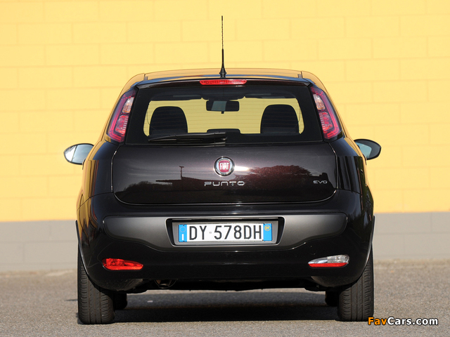 Fiat Punto Evo 5-door (199) 2009–12 photos (640 x 480)