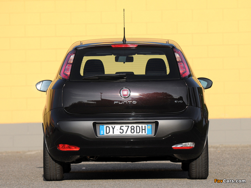 Fiat Punto Evo 5-door (199) 2009–12 photos (800 x 600)