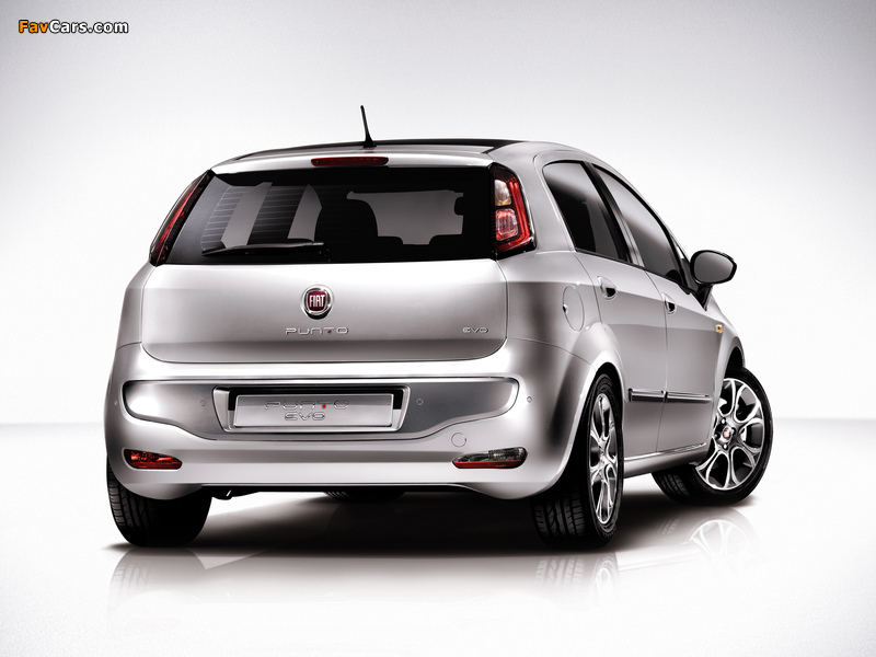 Fiat Punto Evo 5-door (199) 2009–12 photos (800 x 600)