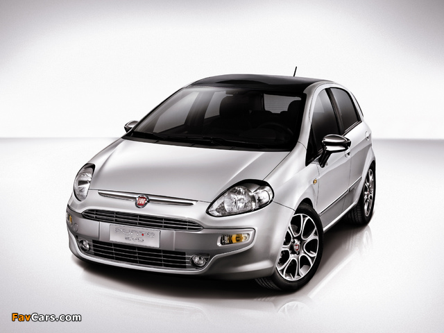 Fiat Punto Evo 5-door (199) 2009–12 pictures (640 x 480)
